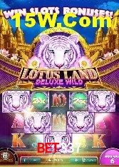 Casino VIP Bet337